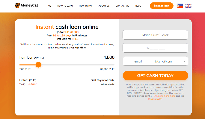 Money Cat main page